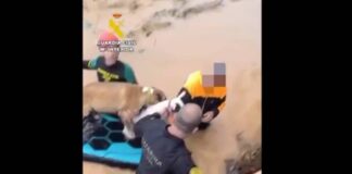 Ibiza: Die Arbeit der Retter im Video