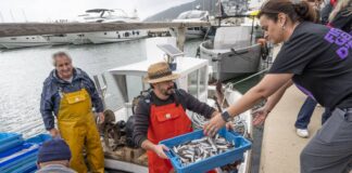 Santa Eulària: Fira des Gerret wird verschoben
